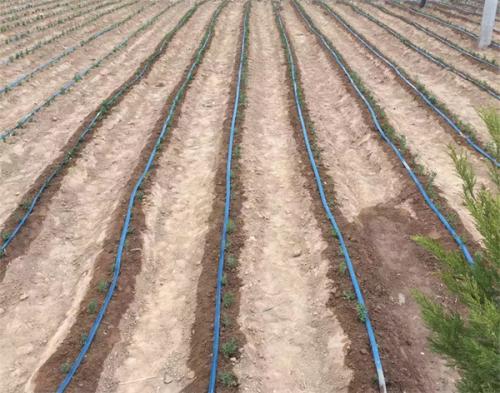 irrigation pipe fittings pvc